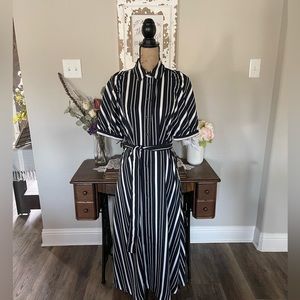 Ann Taylor ladies striped collard button down front shirt style dress